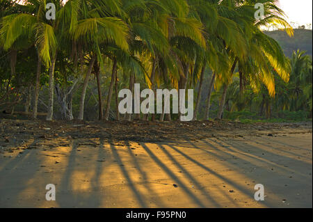 Schwarzen Sand Strand von Papagayo Bay. Stockfoto