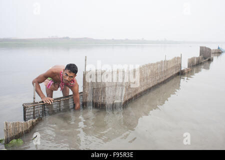 Dhaka, Bangladesch. 14. Dezember 2015. Ein Bangladeshi Fisher Mann Sätze Reuse für Fische fangen in Savar, in der Nähe von Dhaka, Bangladesch. Bangladesch ist ein "Fisch-Krise" wegen der grassierenden Gebrauch von verbotenen Netzen zusammen mit zunehmender Verschmutzung durch die Industrie bedroht. © Suvra Kanti Das/ZUMA Draht/Alamy Live-Nachrichten Stockfoto