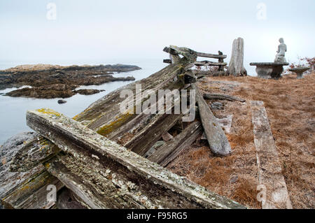 Nebel rollt an einem frühen Oktobertag am Vantreight Strand in der Nähe von Victoria, BC Stockfoto