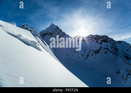 Skitouren, Tiefschneefahren, Rogers Pass, British Columbia, Kanada, Mount Bonney, Lily Glacier Stockfoto