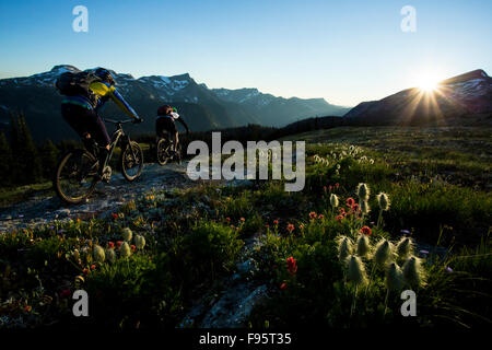 Mountainbiken, Monashee Mountains, Sol Mountain Lodge, Britisch-Kolumbien, Kanada, Mount Fosthall, westliche Anemone, Anemone Stockfoto