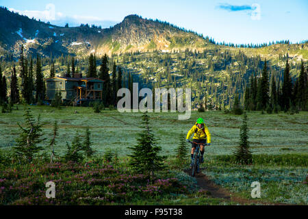 Mountainbiken, Monashee Mountains, Sol Mountain Lodge, Britisch-Kolumbien, Kanada, Stockfoto