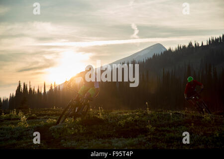 Mountainbike-Touren, Singletrails, Mount Fostall, Monashee Mountains, Sol Mountain Lodge, Britisch-Kolumbien, Kanada Stockfoto