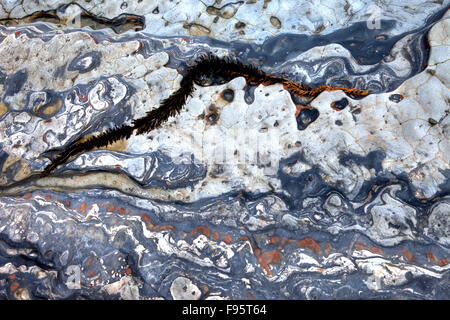 Erodierten Felsen, Point Lobos, Big Sur, Kalifornien, USA Stockfoto