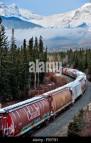 Ein Canadian National Güterzug Reisen West in Richtung der schneebedeckten Rocky Mountains von Alberta, Kanada Stockfoto