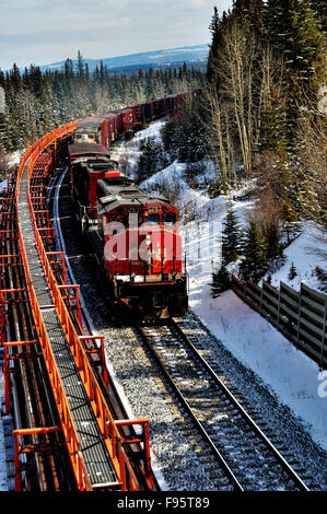 Ein vertikales Bild eines kanadischen nationalen Güterzuges um eine Kurve neben einer Reihe von Güterwagen in ländlichen Alberta reisen Stockfoto