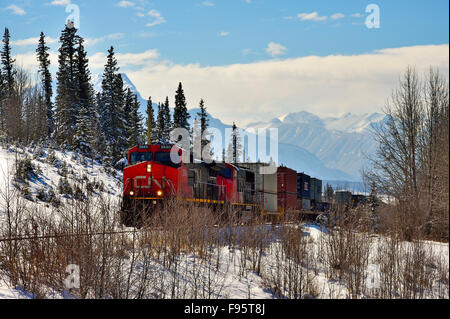 Ein Canadian National Güterzug unterwegs auf einer ländlichen Alberta-Strecke in der Nähe von Schnee bedeckt Rocky mountains Stockfoto