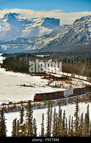 Ein Canadian National Güterzug unterwegs durch den Schnee begrenzt Rocky Mountains von Alberta, Kanada Stockfoto