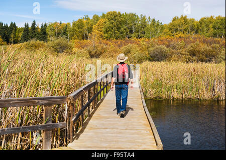 Wanderer auf dem Ominik Marsh Boardwalk, Riding Mountain National Park, Manitoba, Kanada Stockfoto