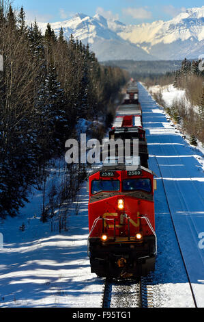 Ein vertikales Bild eines kanadischen nationalen Güterzugs Reisen durch die schneebedeckten Rocky Mountains von Alberta, Kanada Stockfoto