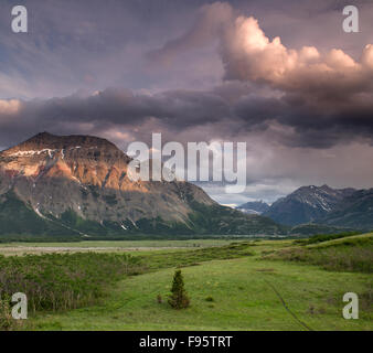 Vimy Peak, Wasser Lakes National Park, Alberta, Kanada Stockfoto