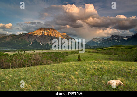 Vimy Peak, Wasser Lakes National Park, Alberta, Kanada Stockfoto