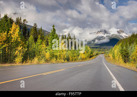 Icefields Parkway (Highway 93) in der Nähe von Rampart Creek, Banff Nationalpark, Alberta, Kanada Stockfoto