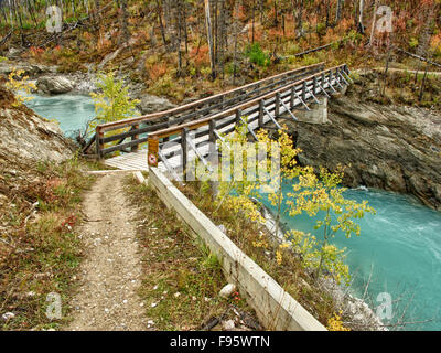 Brücke über die Vermilion River auf der Eisscholle Lake Trail, Kootenay National Park, Britisch-Kolumbien Stockfoto