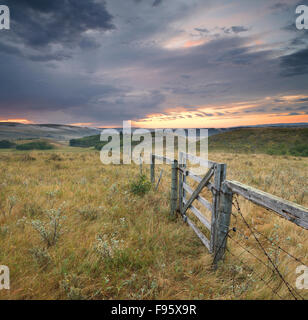 Glenbow Ranch Provincial Park, Alberta, Kanada Stockfoto