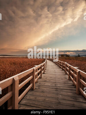 Elkwater See Promenade, Cypress Hills Interprovincial Park, Alberta, Kanada Stockfoto