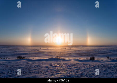 Sonne tief Hunde (Parhelia) auf beiden Seiten der Sonne über die Tundra, Cape Churchill, Wapusk-Nationalpark, Manitoba. Stockfoto