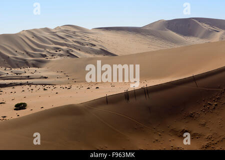 Dünen im Sossusvlei, Namib-Naukluft-Nationalpark, Namibia Stockfoto