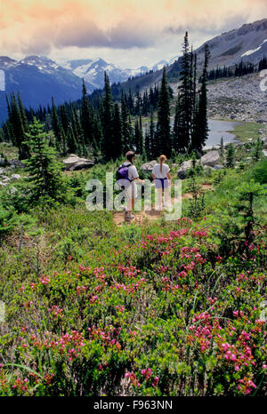 Zwei Wanderer Fuß den Weg zum Singen Pass auf Whistler Mountain, BC Kanada Stockfoto