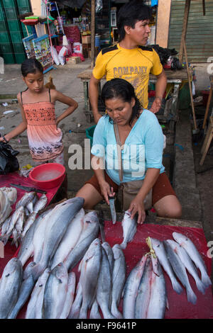 Markt-Szenen, Iquitos, die größte Stadt im peruanischen Regenwald und der Fifthlargest von Peru Stockfoto