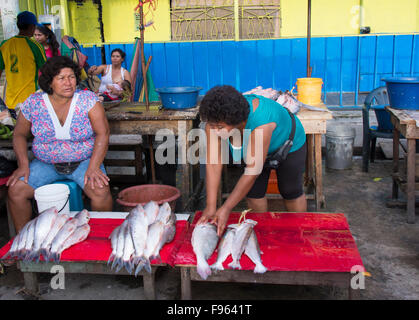 Markt-Szenen, Iquitos, die größte Stadt im peruanischen Regenwald und der Fifthlargest von Peru Stockfoto