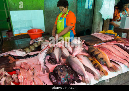 Markt-Szenen, Iquitos, die größte Stadt im peruanischen Regenwald und der Fifthlargest von Peru Stockfoto