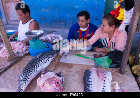 Markt-Szenen, Iquitos, die größte Stadt im peruanischen Regenwald und der Fifthlargest von Peru Stockfoto