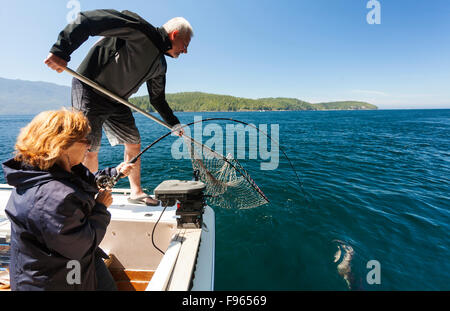 Ein weibliche Angler Rollen in ihrem begehrter Fang während der Telegraph Cove Angeln-Derby.  Blumeninsel im Atlantik Stockfoto