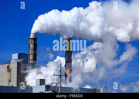 Verunreinigung der Luft durch Schornsteine bei einer Zellstoff- und Papierfabrik, Terrace Bay, Ontario, Kanada Stockfoto