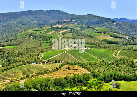 Landschaft der toskanischen Weinbergen in der Nähe von Radda in Chianti, Toskana, Italien Stockfoto