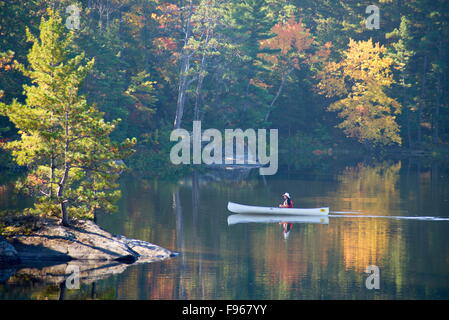 Middel im Alter von männlichen Fischen auf French River Stockfoto