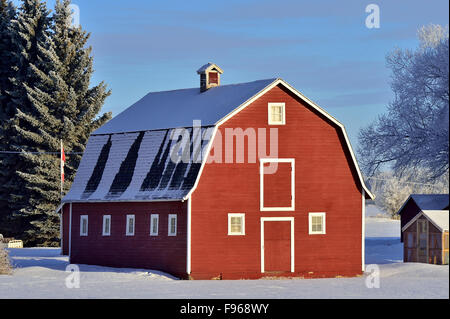 Eine horizontale Winterlandschaft einer roten Scheune mit Schnee und Frost auf eine knackige Wintertag im ländlichen Alberta, Kanada. Stockfoto