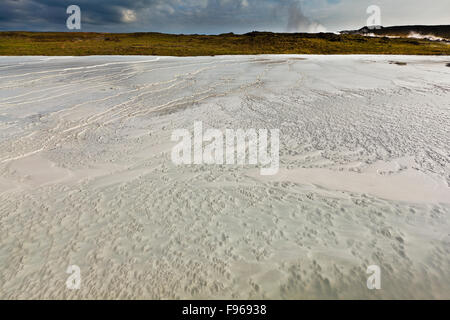 Kieselsäure Einlagen und Mineralien, Gunnuhver Sprudel, Halbinsel Reykjanes, Island Stockfoto