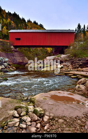 Eine vertikale Ansicht den Punkt Wolfe überdachte Brücke im Fundy National Park in der Nähe von Alma, New Brunswick, Kanada wie von unten auf Stockfoto