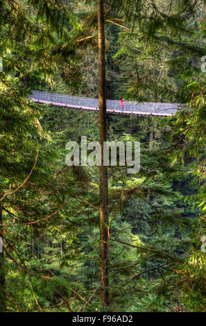 Frau im roten Mantel auf Capilano Suspension Brücke zwischen die grüne Landschaft in Vancouver, British Columbia, Kanada Stockfoto