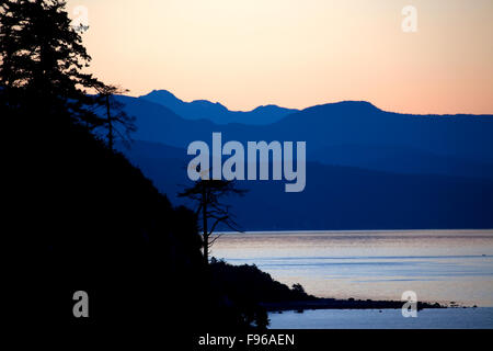 Dawn, Sonnenaufgang, Coastal Wälder, Douglasien (Pseudotsuga Menziesii), Sillhouette, Strand, Gezeiten, Küste-Berge, Stockfoto