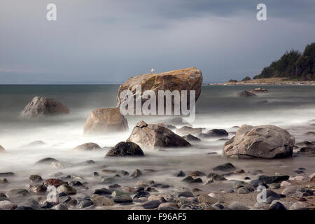 Strand Felsen und Wellen, Glaucous Gull (Larus Hyperboreus), Wintersturm beobachten, Wandern, Fotografie, Zeitaufwand, Stockfoto