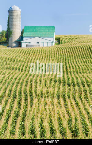 Abgeernteten Feldern und Bauernhof in der Nähe von Benmiller, Ontario, Kanada Stockfoto