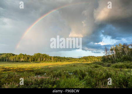 Regenbogen über Feuchtgebiete, Sudbury, Ontario, Kanada Stockfoto