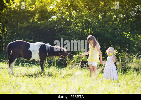 Porträt von zwei kleine Schwestern Spaß an der Natur im Freien, Fütterung pony Stockfoto