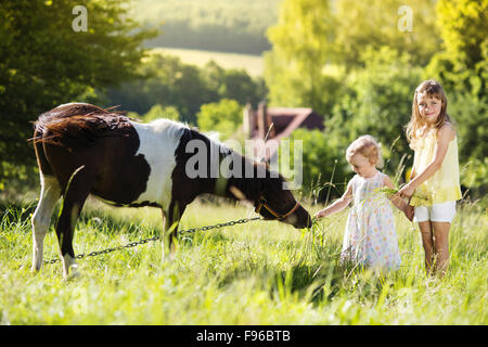 Porträt von zwei kleine Schwestern Spaß an der Natur im Freien, Fütterung pony Stockfoto