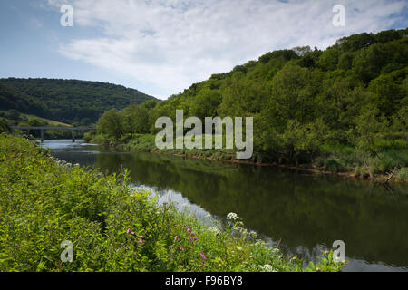 Neben dem Fluss Wye mit Brockweir Brücke in der Ferne auf der England und Wales Grenze, Brockweir in den Wald des Dekans, Gloucestershire, England Stockfoto