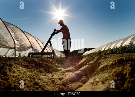 Ein moderner Bauer bearbeitet seinen Boden mit alten altmodischen Ackergeräte. Stockfoto