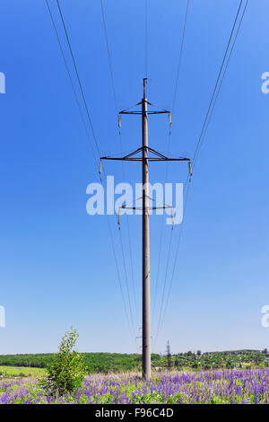 Hochspannungs-elektrische Pol mit Drähten auf einem Hintergrund des blauen Himmels in einem Feld von blühenden Lupinen Stockfoto