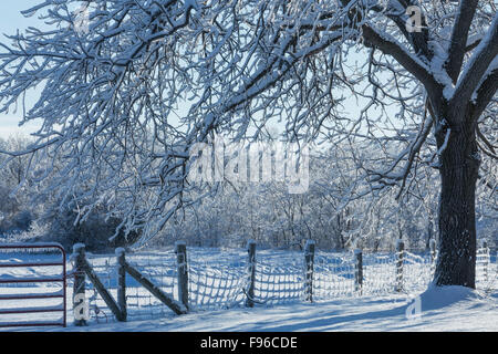 Nach dem Einfrieren regen, Goderich, Ontario, Kanada Stockfoto