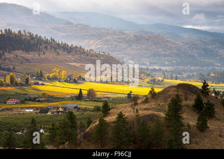 Berge, Häuser und bunten Weinberge im Herbst auf der Naramata Bank in Penticton, South Okanagan Valley of British Stockfoto