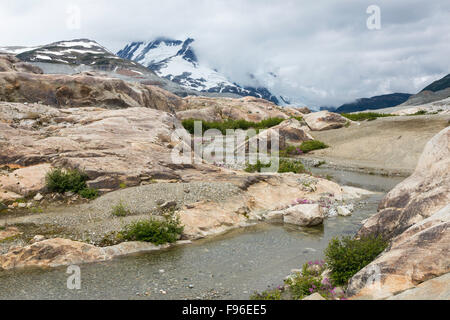 British Columbia, Kanada, Chilcotin Region, Moränenlandschaft, Gletscherbach, erste Generation Vegetation, Küste-Berge, Stockfoto