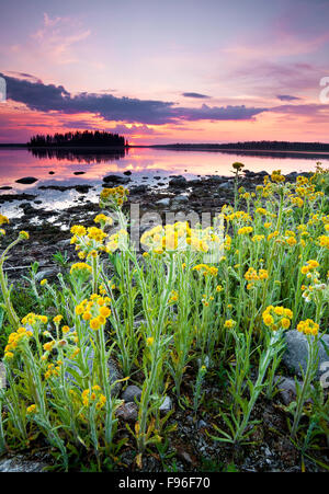 Astotin Lake bei Sonnenuntergang Elk Island National Park, Alberta, Kanada Stockfoto