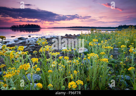 Astotin Lake bei Sonnenuntergang Elk Island National Park, Alberta, Kanada Stockfoto