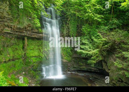 Glencar Wasserfall, County Sligo, Irland Stockfoto